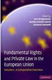 Fundamental Rights and Private...